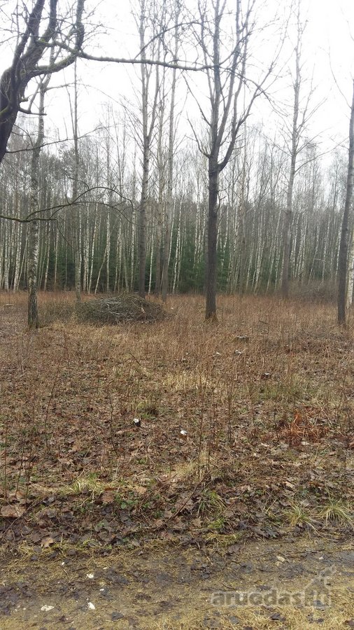 Sklypas yra nedidelėje, jaukioje Antaniškių - nuotraukos Nr. 4