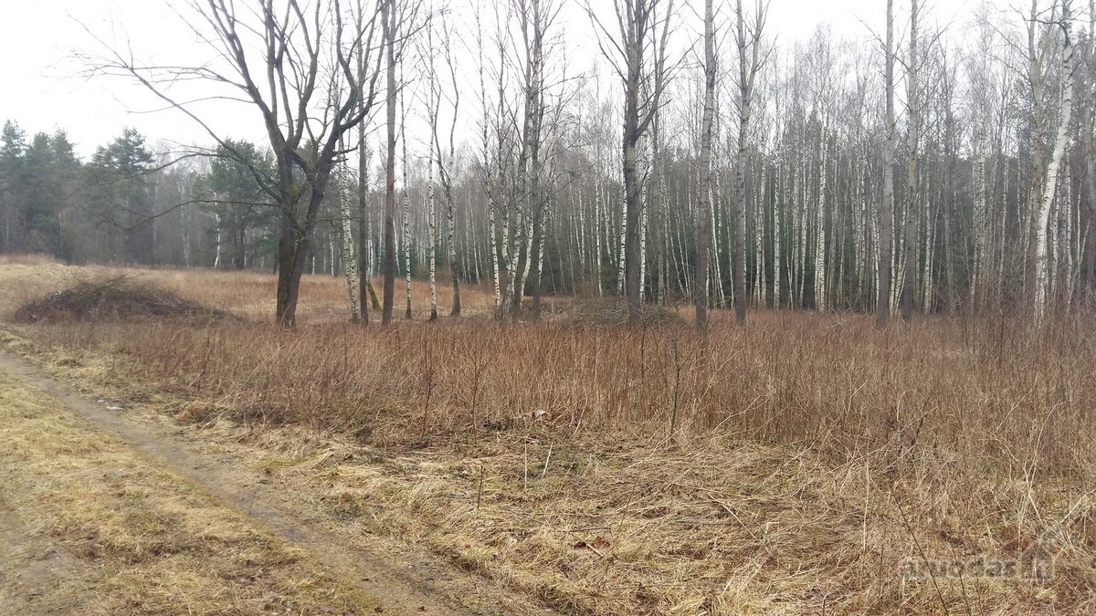 Sklypas yra nedidelėje, jaukioje Antaniškių - nuotraukos Nr. 5