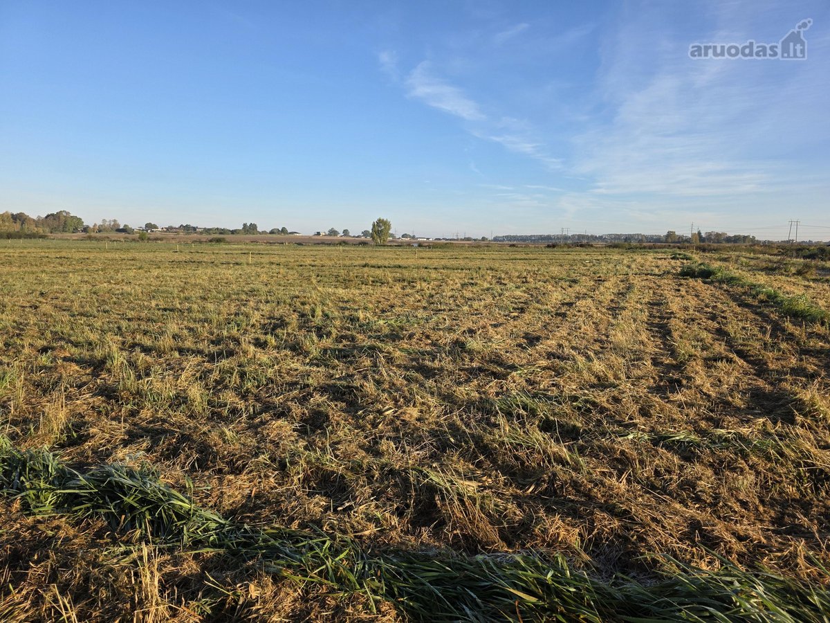Parduodami namų valdos žemės sklypai - nuotraukos Nr. 19