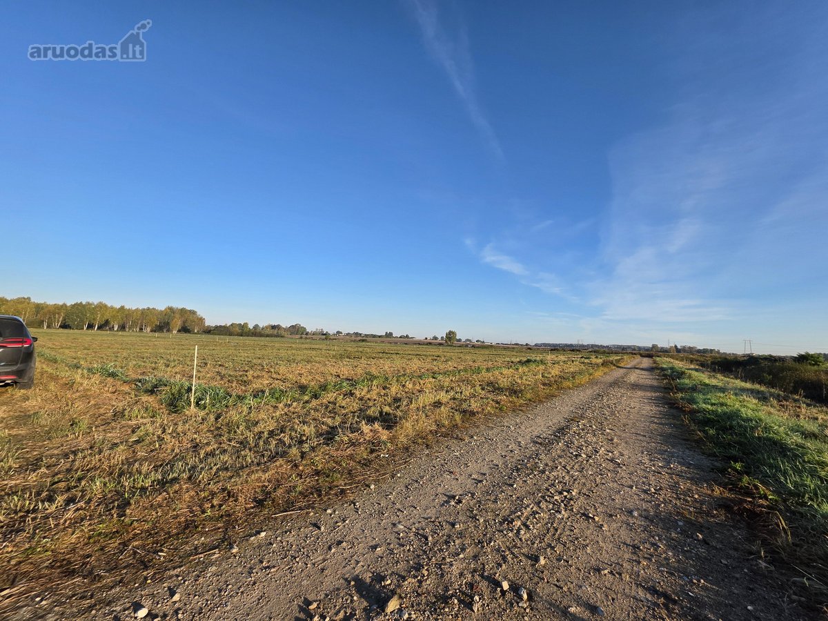 Parduodami namų valdos žemės sklypai - nuotraukos Nr. 25