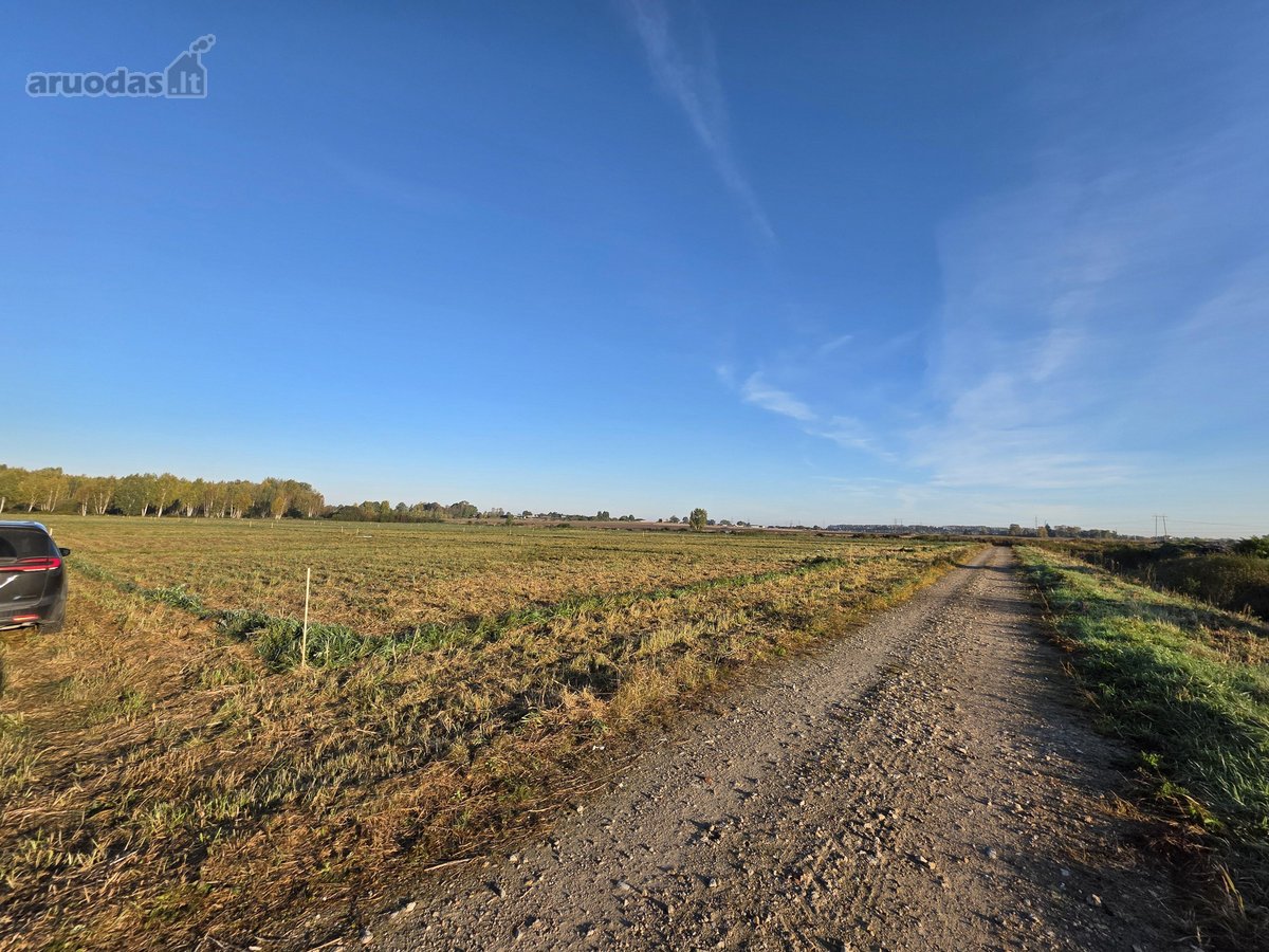 Parduodami namų valdos žemės sklypai - nuotraukos Nr. 26