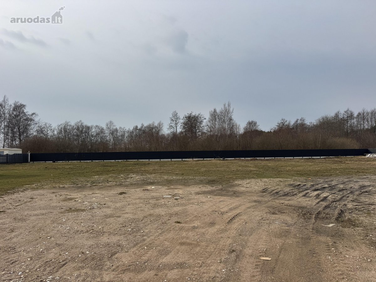 Parduodami sklypai Žibų g. 103; 101; 99 – po - nuotraukos Nr. 5