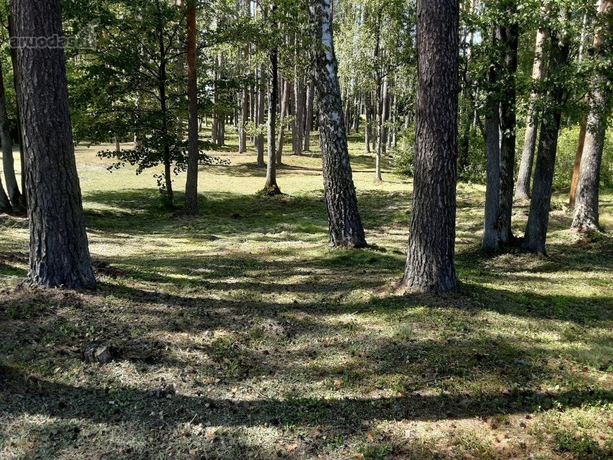 Šalia Dviejų Ežerų Ir Upių - nuotraukos Nr. 17