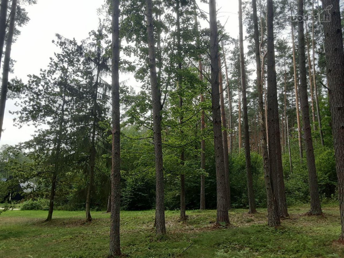Šalia Dviejų Ežerų Ir Upių - nuotraukos Nr. 18