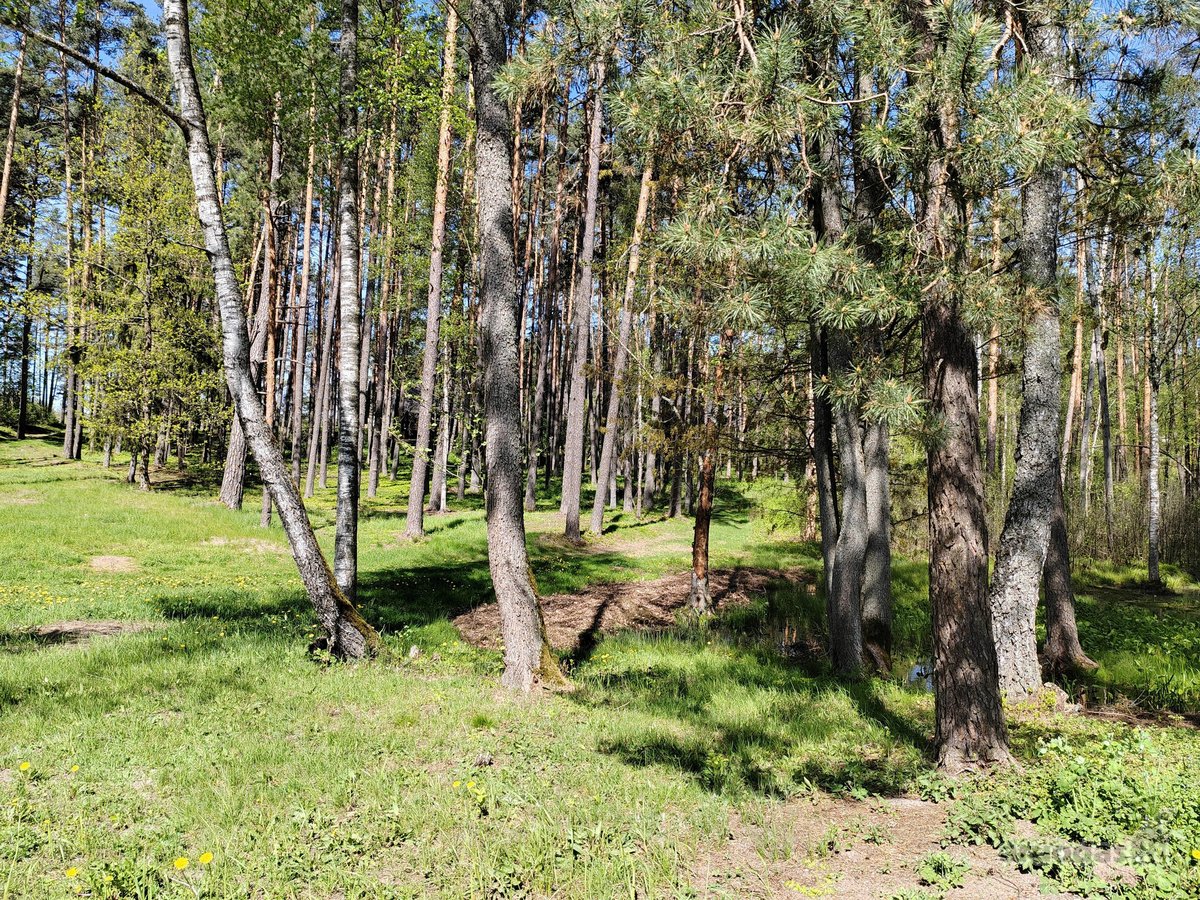 Šalia Dviejų Ežerų Ir Upių - nuotraukos Nr. 20