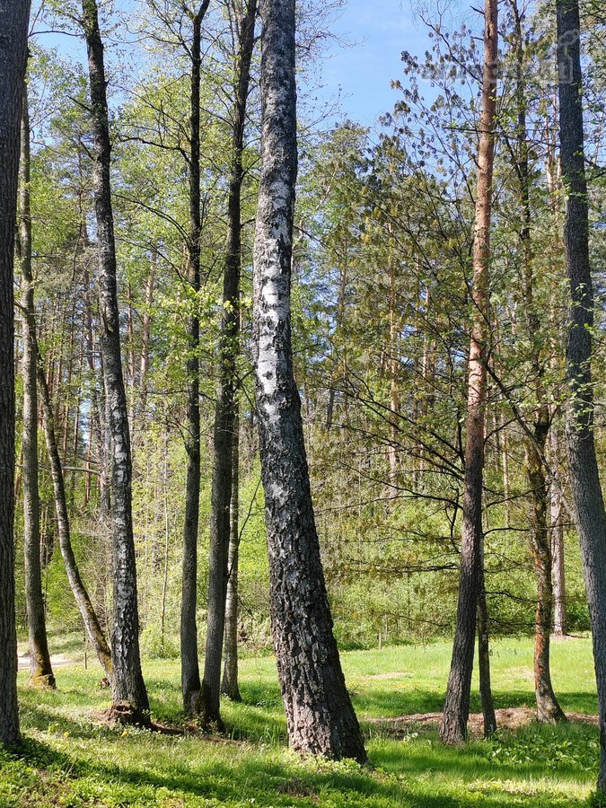 Šalia Dviejų Ežerų Ir Upių - nuotraukos Nr. 10