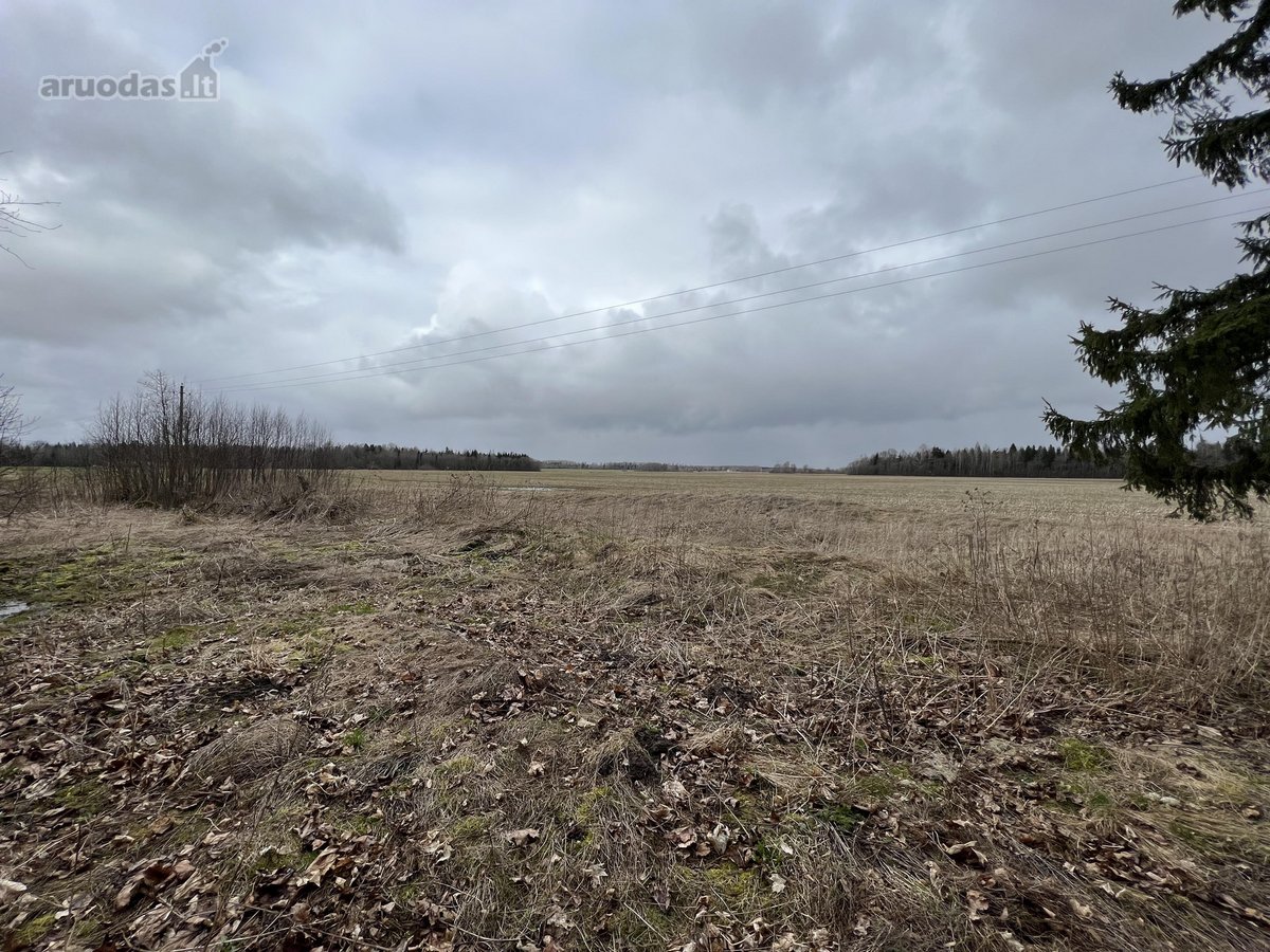 Tiesiogiai iš savininko, be tarpininkų, - nuotraukos Nr. 5