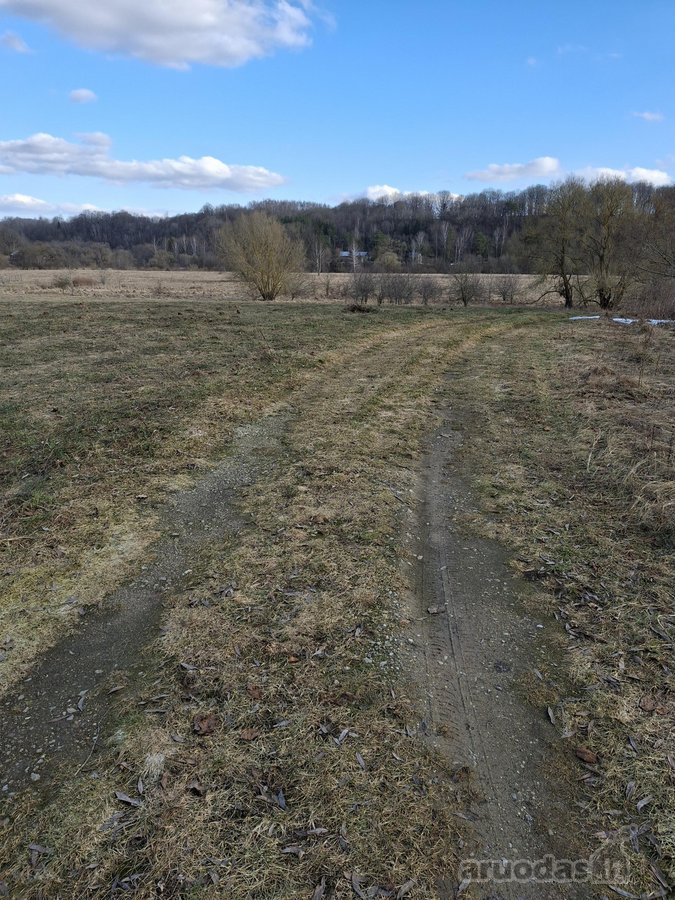 Prie šio sklypo priklauso dar 70 arų sklypas - nuotraukos Nr. 9