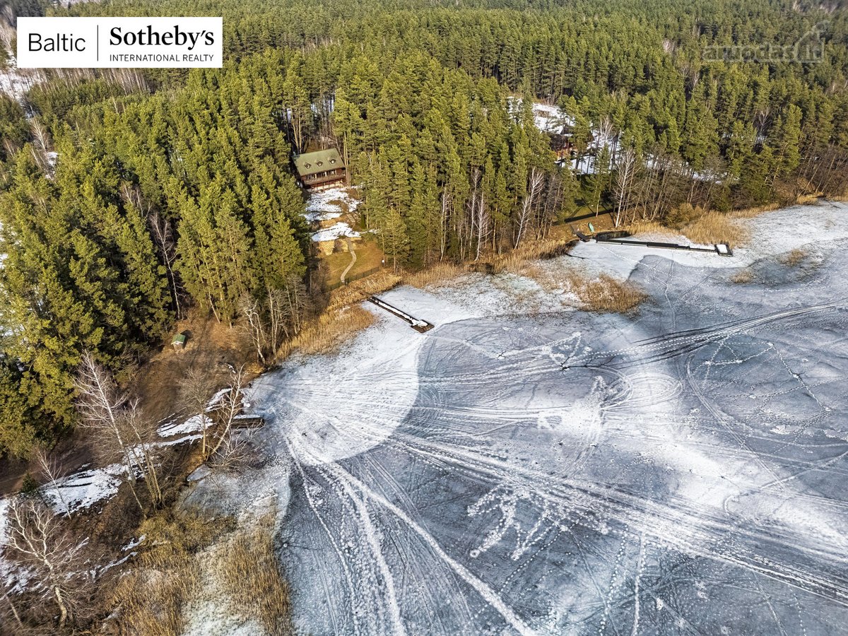Labanoro regioniniame parke, apsupta brandžių - nuotraukos Nr. 43
