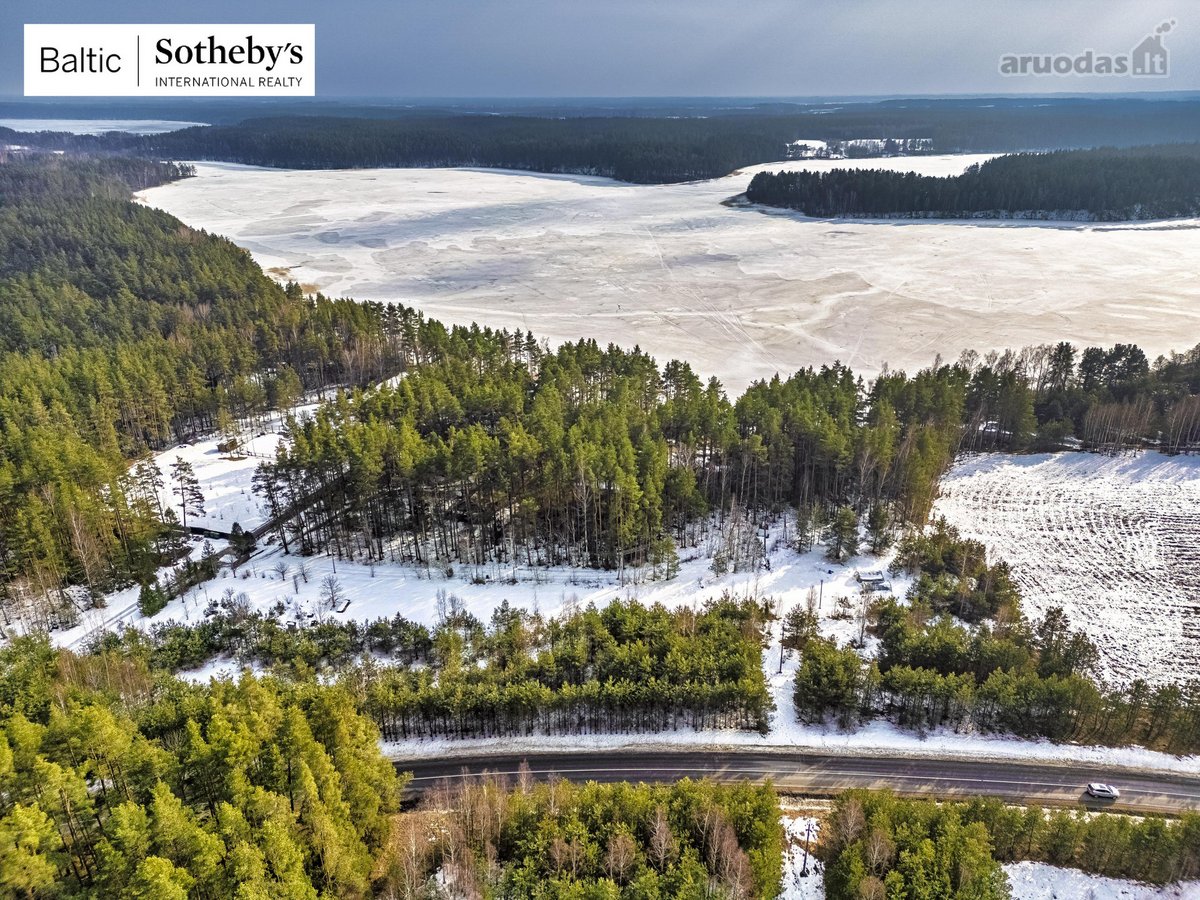 Labanoro regioniniame parke, apsupta brandžių - nuotraukos Nr. 44