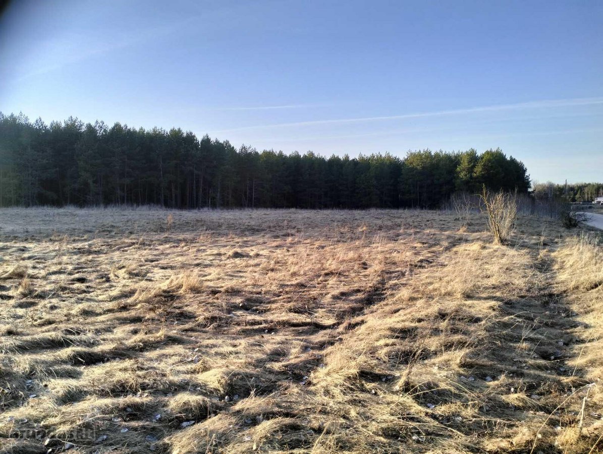 2,7 ha sklypas su mišku Trakų r. Mamavio k.
