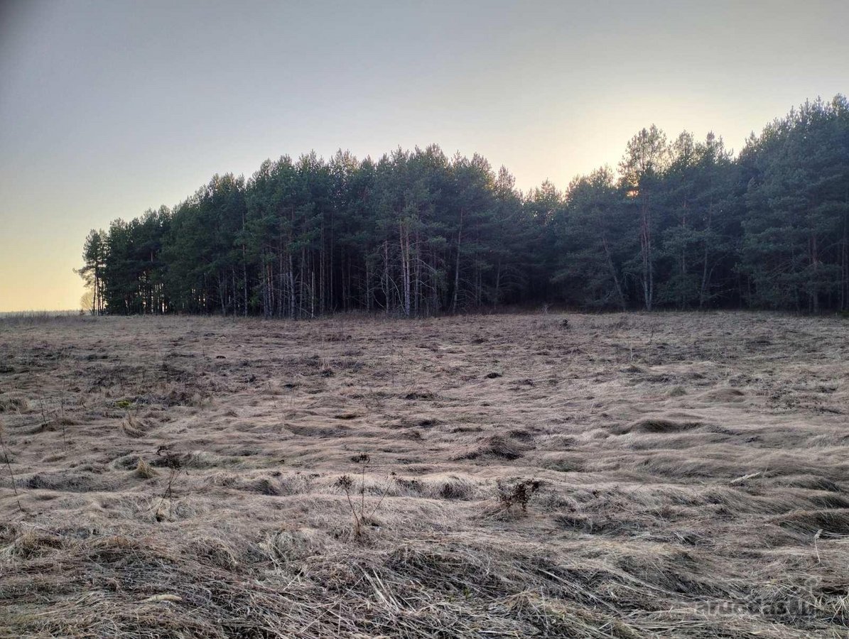 2,7 ha sklypas su mišku Trakų r. Mamavio k. - nuotraukos Nr. 2