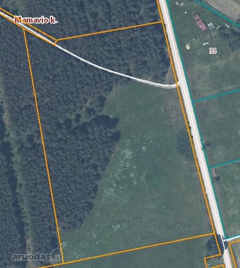 2,7 ha sklypas su mišku Trakų r. Mamavio k. - nuotraukos Nr. 3