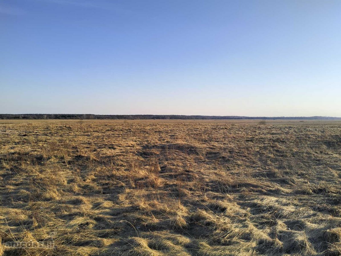 2,7 ha sklypas su mišku Trakų r. Mamavio k. - nuotraukos Nr. 6