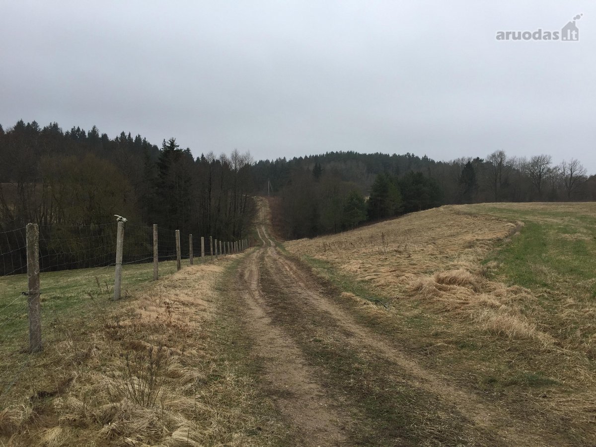 Galima nuoma 2999 eur.viso sklypo metams - nuotraukos Nr. 8
