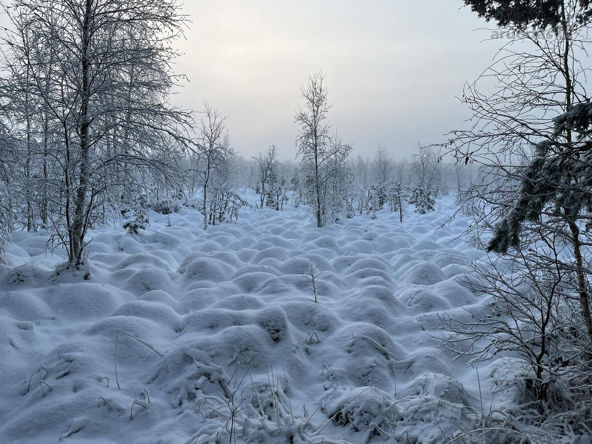 Parduodamas Ypatingai Jaukus 80m2 Namas - nuotraukos Nr. 23