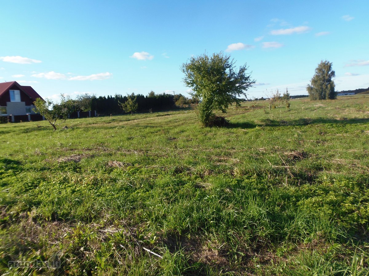Gargždų Mieste, Volungės Gatvėje, - nuotraukos Nr. 3
