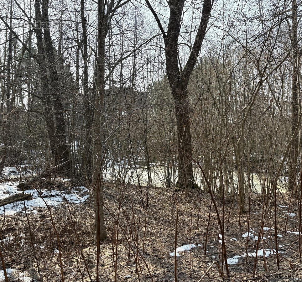 Parduodamas 31 a. mažaaukščių gyvenamųjų namų - nuotraukos Nr. 3