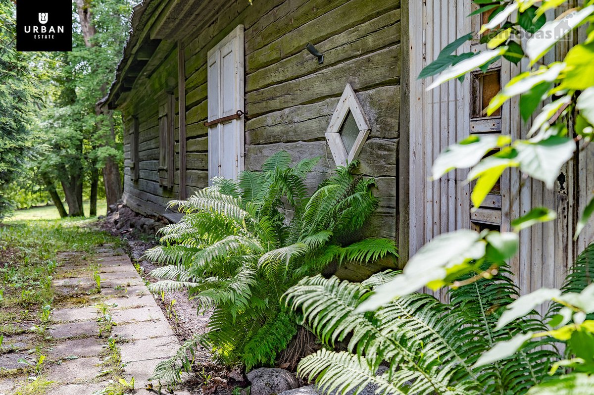 Parduodama Autentiška 1,2ha Sodyba Labanoro - nuotraukos Nr. 3