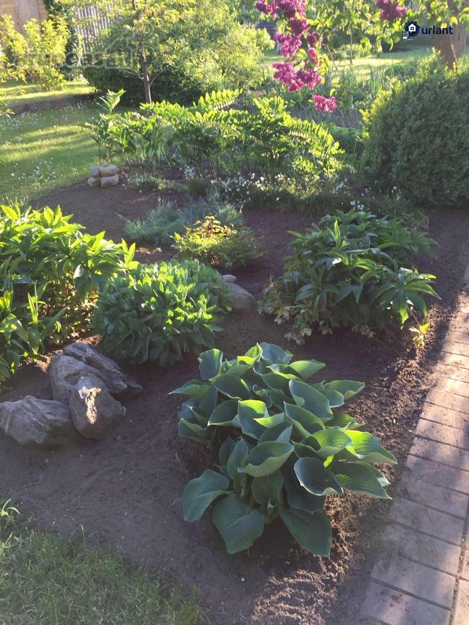 Parduodamas sodo namas (vasarnamis) Vyturių - nuotraukos Nr. 17