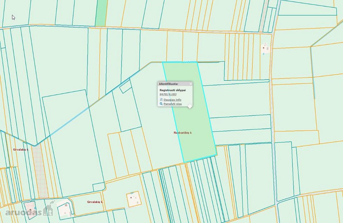 Žemės ūkio registro Nr. 94/20995. 1 ha kaina