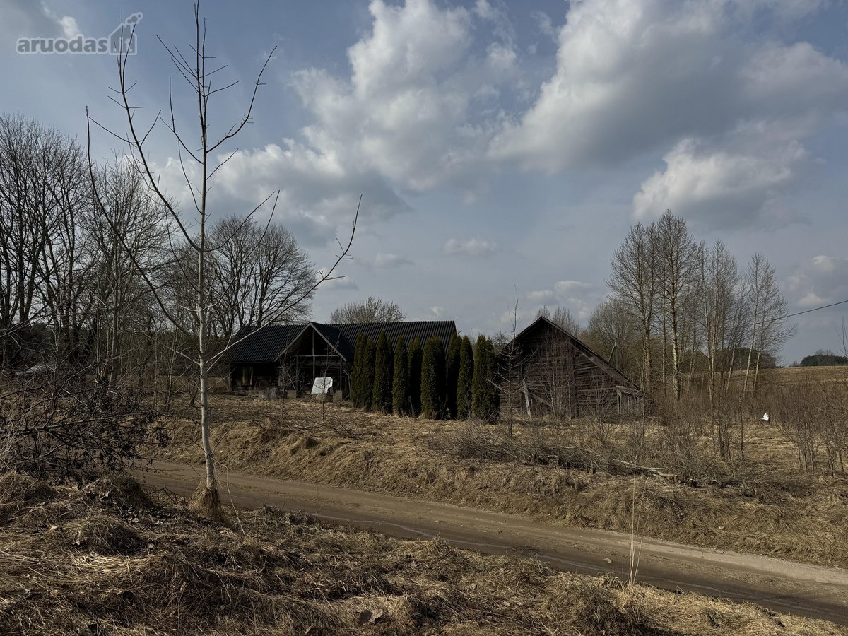 Parduodamas sklypas su sodyba ramioje vietoje - nuotraukos Nr. 7