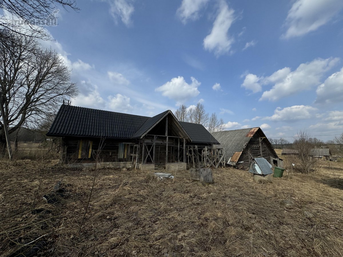 Parduodamas sklypas su sodyba ramioje vietoje - nuotraukos Nr. 9