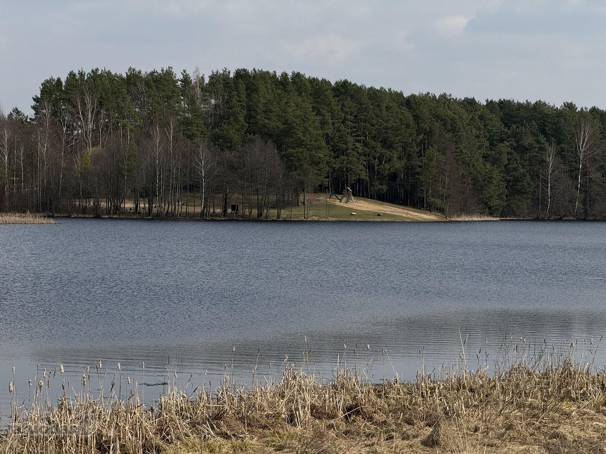 Parduodamas sklypas su sodyba ramioje vietoje - nuotraukos Nr. 11