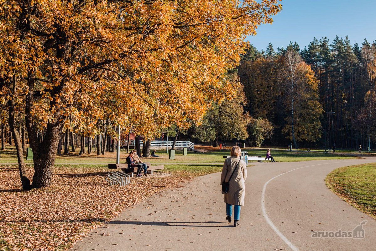 Erdvus dviejų aukštų butas tikrojo Žvėryno - nuotraukos Nr. 27