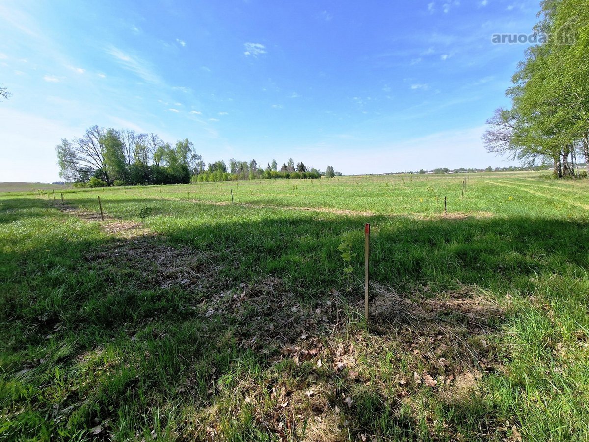 Parduodamas 13,35 ha žemės ūkio paskirties - nuotraukos Nr. 2