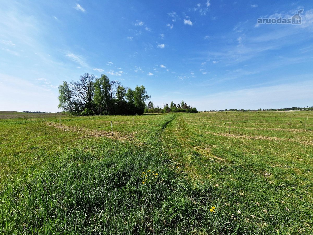Parduodamas 13,35 ha žemės ūkio paskirties - nuotraukos Nr. 3