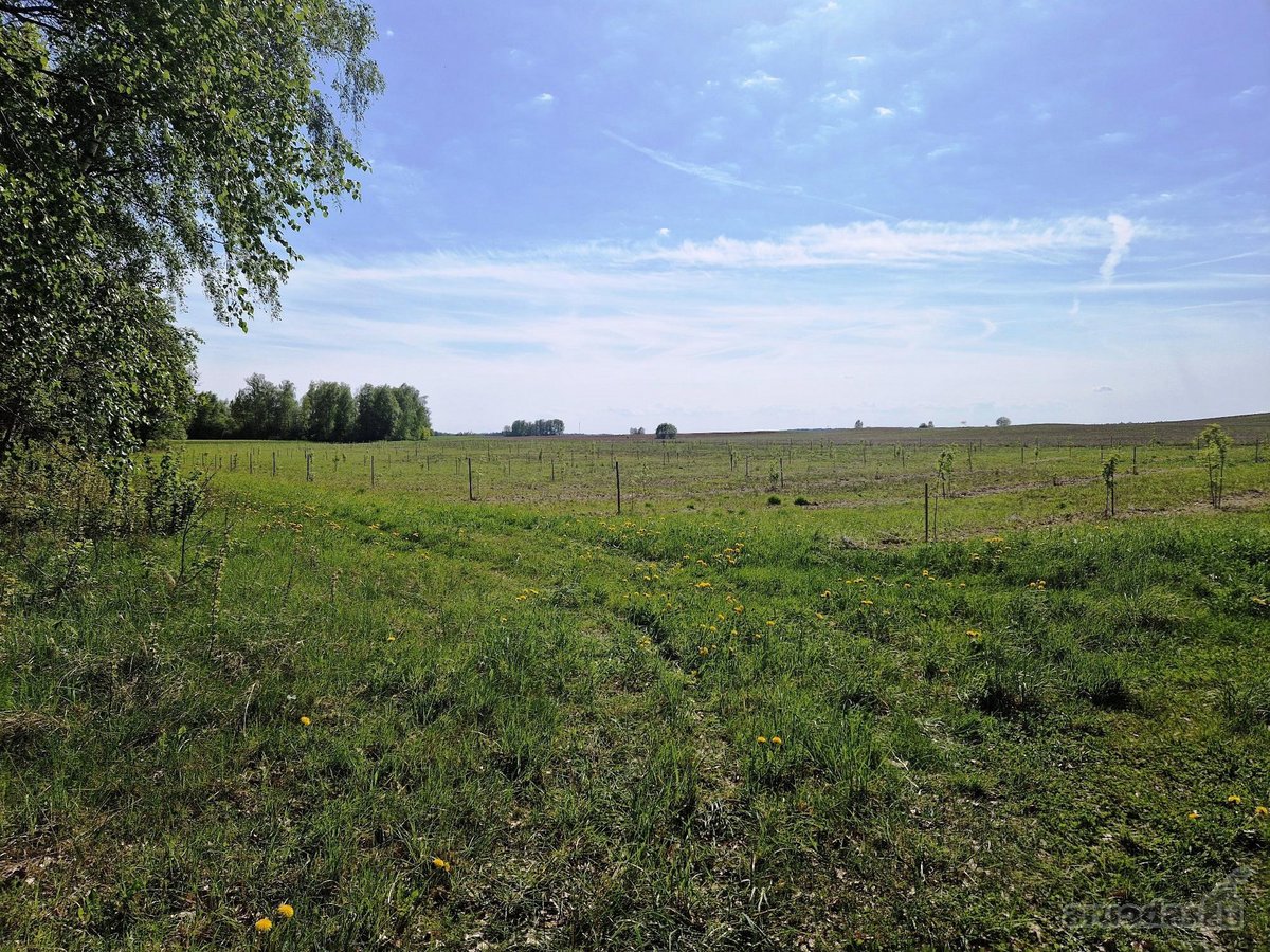 Parduodamas 13,35 ha žemės ūkio paskirties - nuotraukos Nr. 4