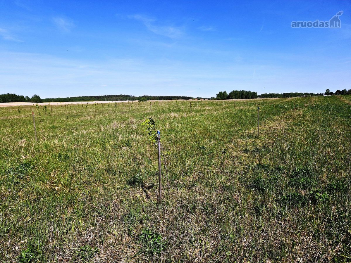 Parduodamas 13,35 ha žemės ūkio paskirties - nuotraukos Nr. 5