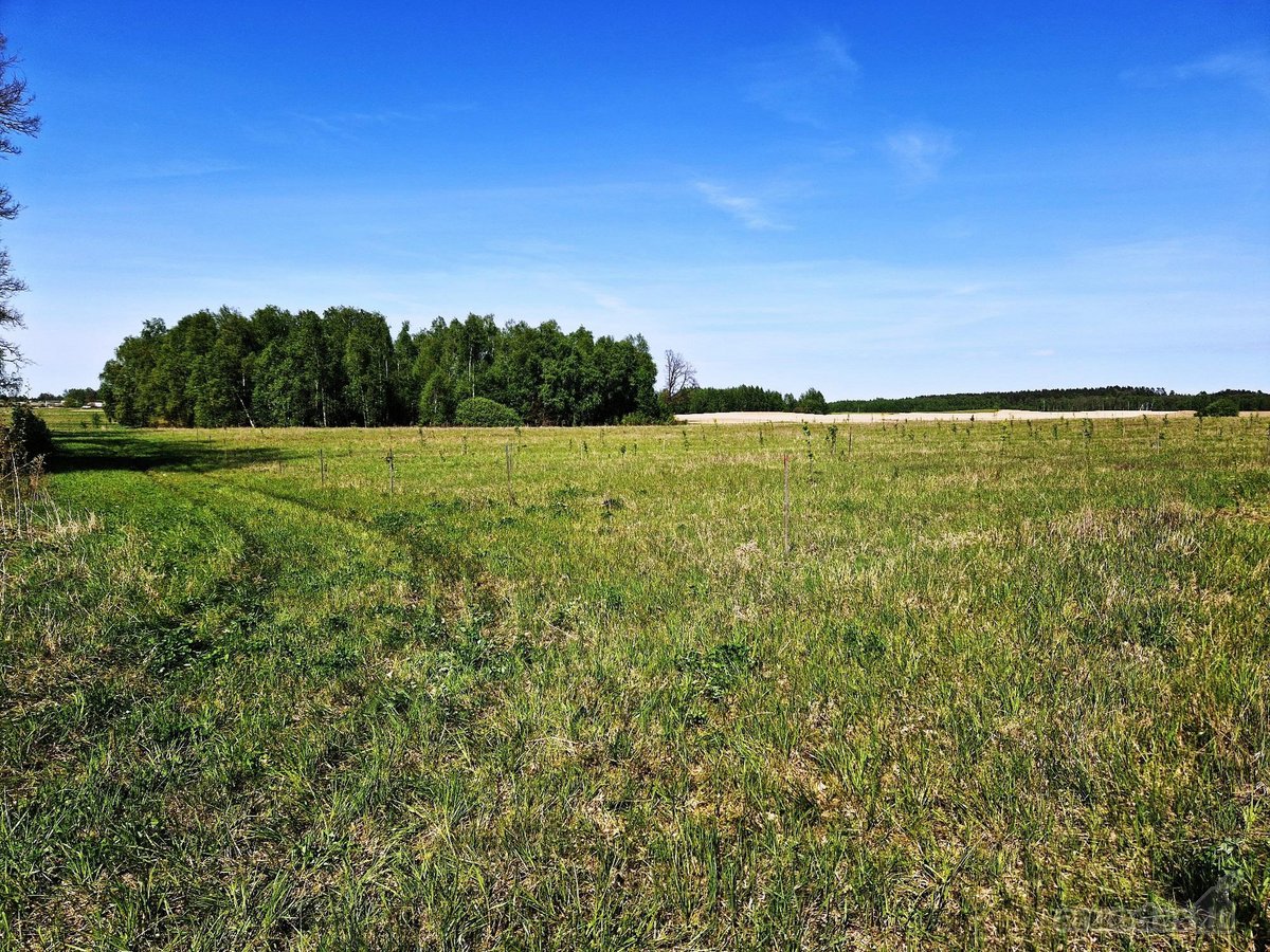 Parduodamas 13,35 ha žemės ūkio paskirties - nuotraukos Nr. 6
