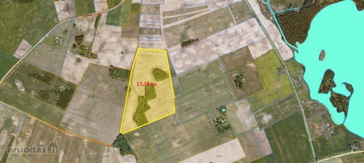 Parduodamas 13,35 ha žemės ūkio paskirties - nuotraukos Nr. 8