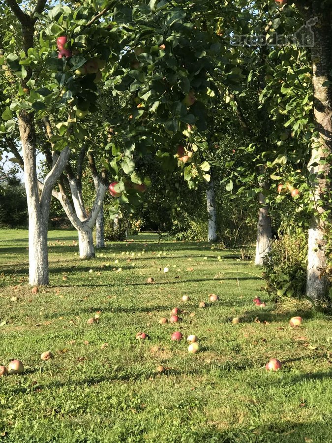 Pačiame Lietuvos viduryje, gražiame ir - nuotraukos Nr. 14
