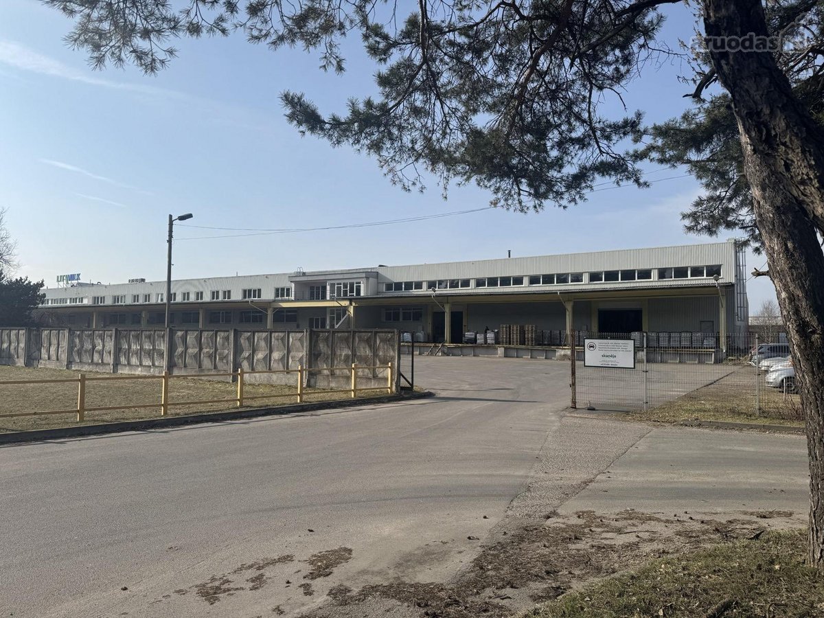 Išnuomojamos 3200 (trijų tūkstančių dviejų