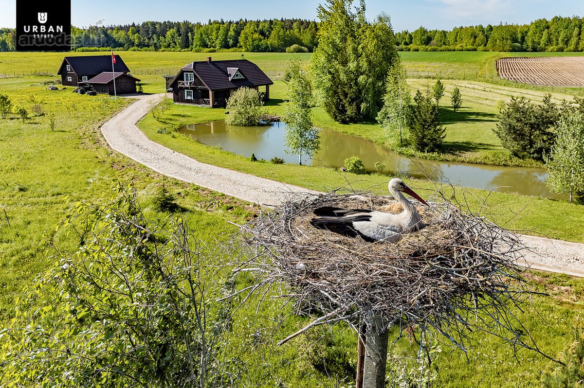 Akcija galioja iki šių metų birželio 20 d. –