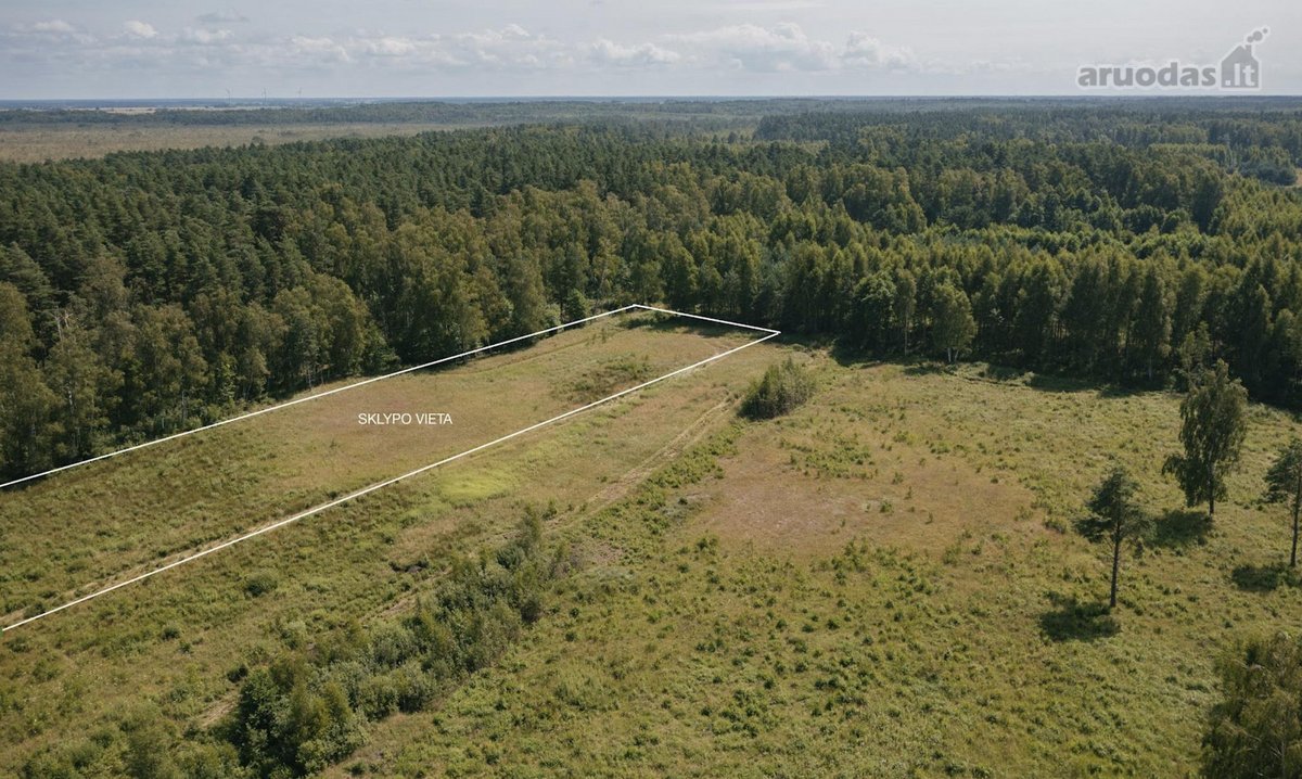 Parduodamas 10 arų sklypas Svencelėje, - nuotraukos Nr. 3