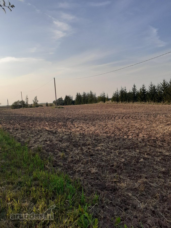 Parduodama dirbama žemė Jonavos rajone Kulvos - nuotraukos Nr. 2