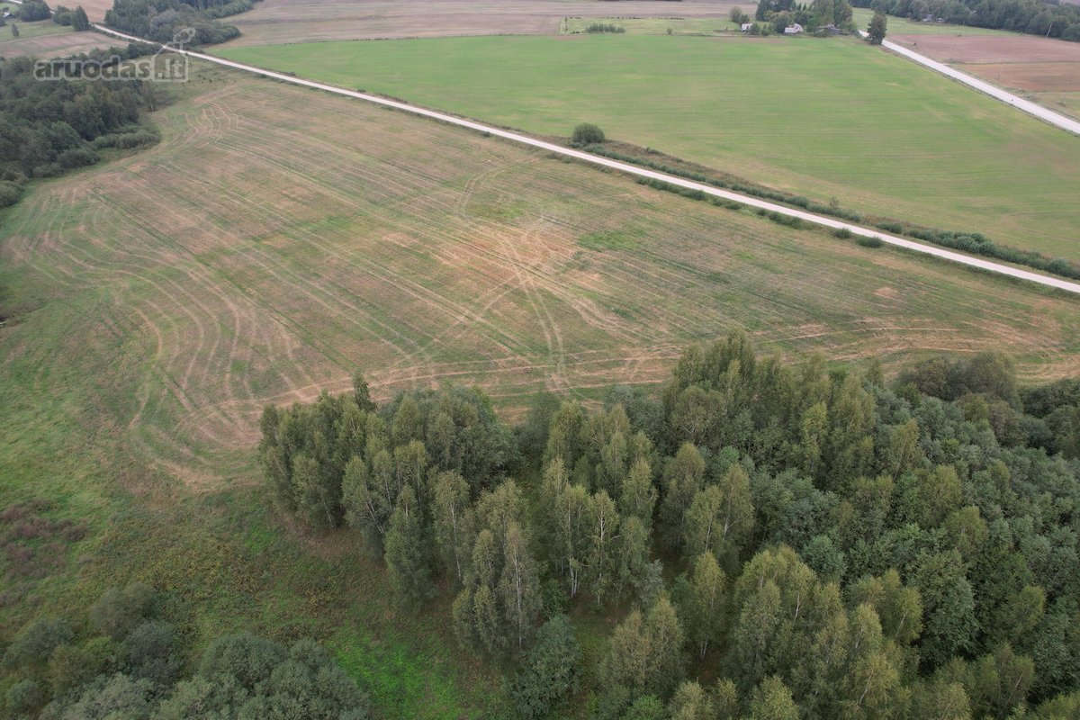 4.7628 Ha Širvintų r. sav., Gelvonų sen., - nuotraukos Nr. 2