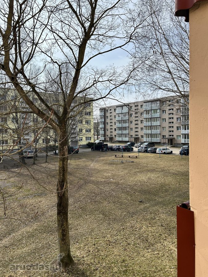 Parduodamas tvarkingas, šviesus 3 kambarių - nuotraukos Nr. 10