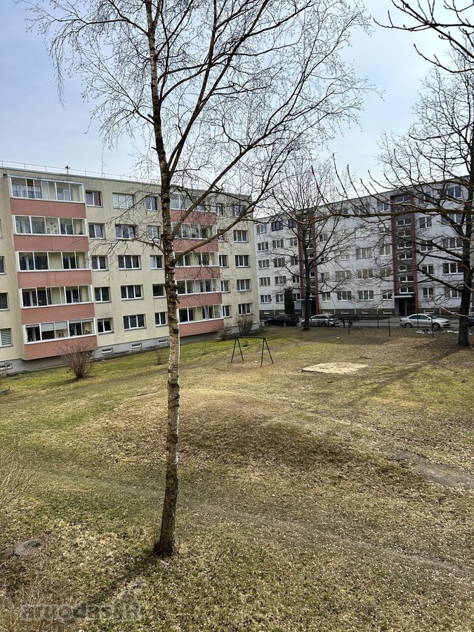 Parduodamas tvarkingas, šviesus 3 kambarių - nuotraukos Nr. 9