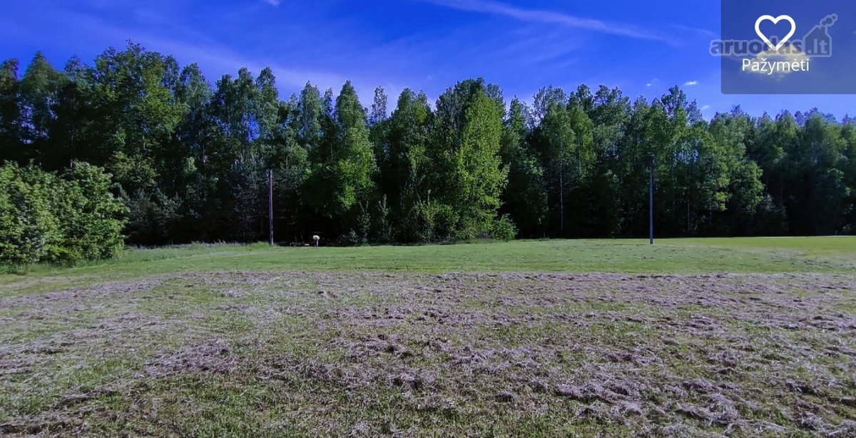 Barborlaukyje, Saulės g., parduodamas 12 arų - nuotraukos Nr. 2