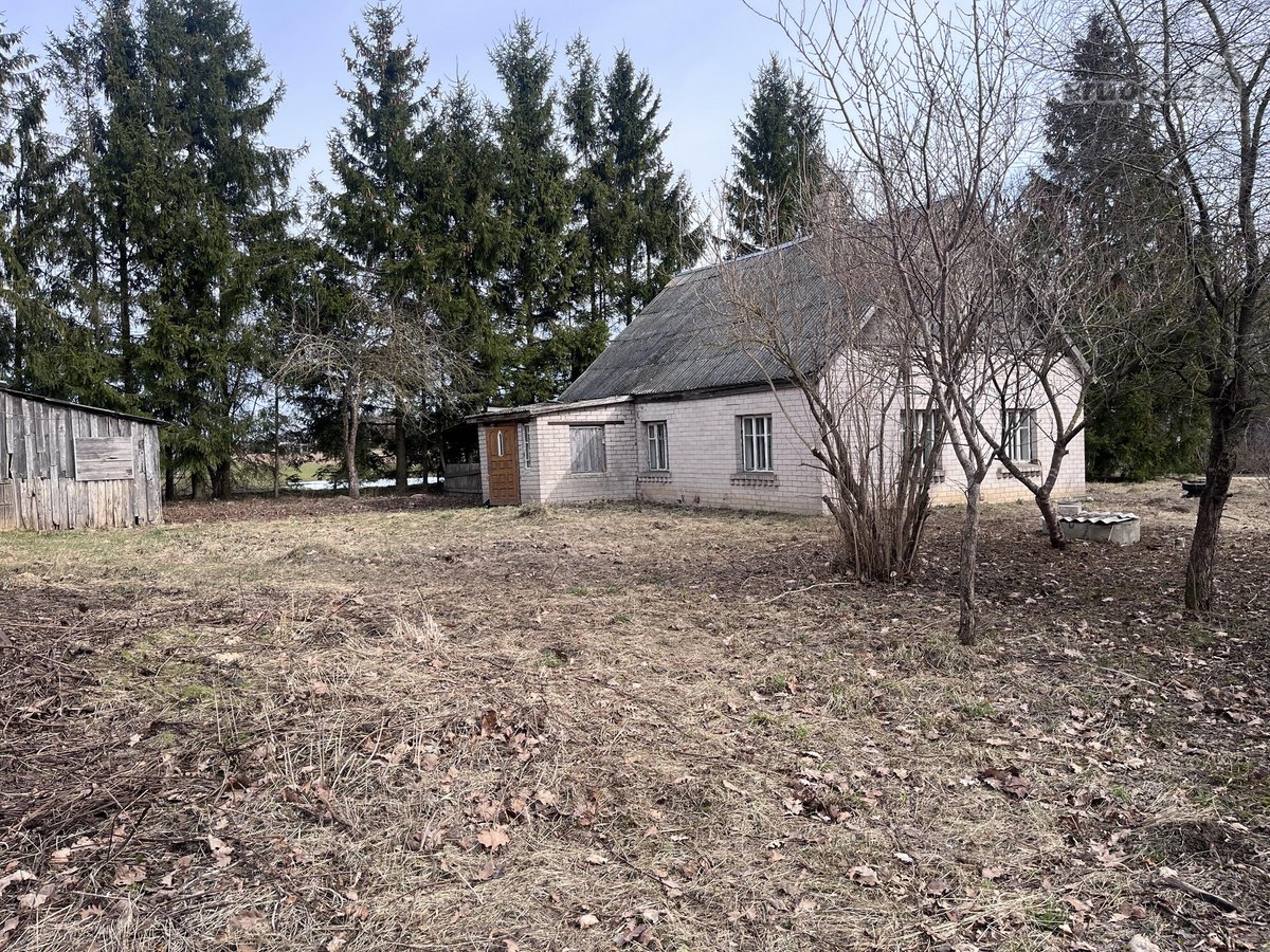 Pasvalio r. sav., Talačkonių k. - nuotraukos Nr. 3