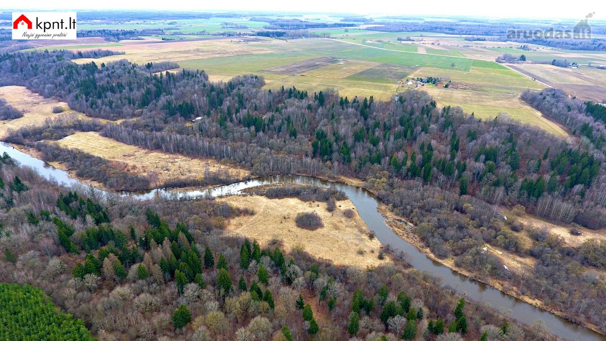 Parduodamas Žemės Ūkio Paskirties Sklypas - nuotraukos Nr. 3