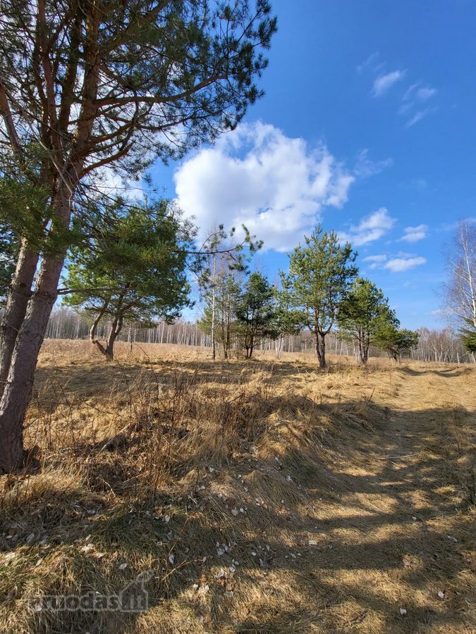 Parduodamas Namų Valdos Sklypas Prie Ežero Ir - nuotraukos Nr. 3