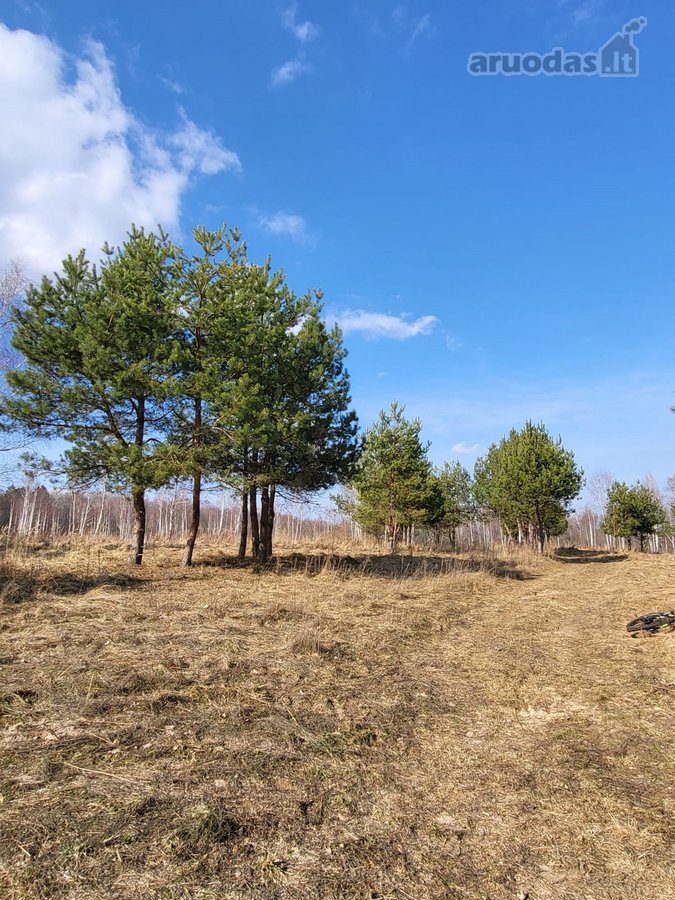 Parduodamas Namų Valdos Sklypas Prie Ežero Ir - nuotraukos Nr. 5