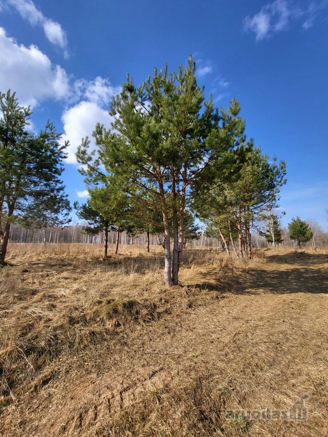 Parduodamas Namų Valdos Sklypas Prie Ežero Ir - nuotraukos Nr. 2
