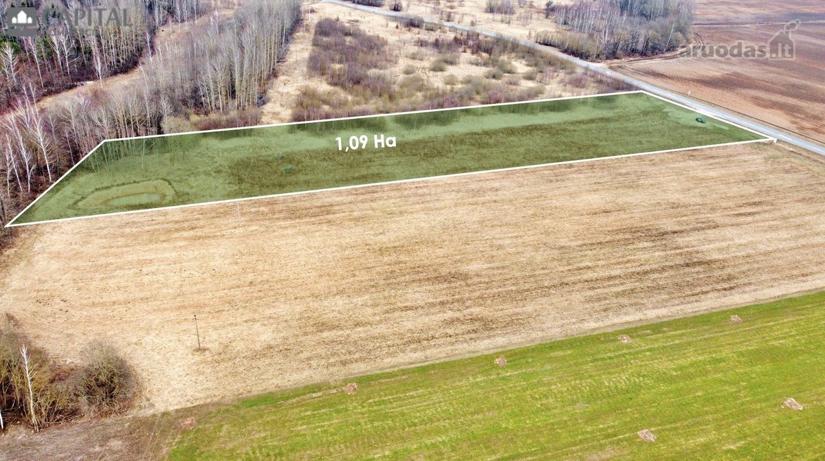 Parduodamas 1,09 Ha Pramonės Ir Sandėliavimo - nuotraukos Nr. 6